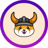 Floki Inu sponsorem włoskiej drużyny piłkarskiej