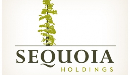 Sequoia Holdings daje pracownikom możliwość zarabiania w BTC, BCH i ETH